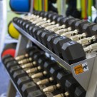 Free Weights, Dumbells, Exercise